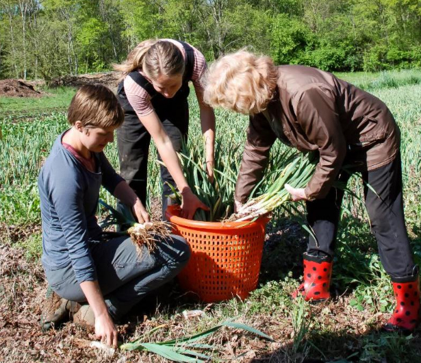 Crabtree is Adding a New Farmers Market!
