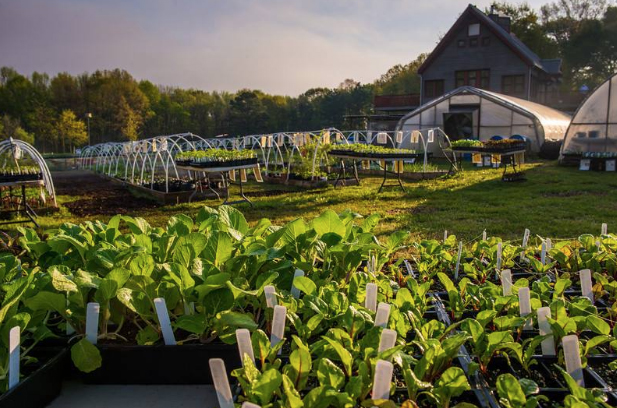 Crabtree’s Spring Plant Sale & Festival has arrived!