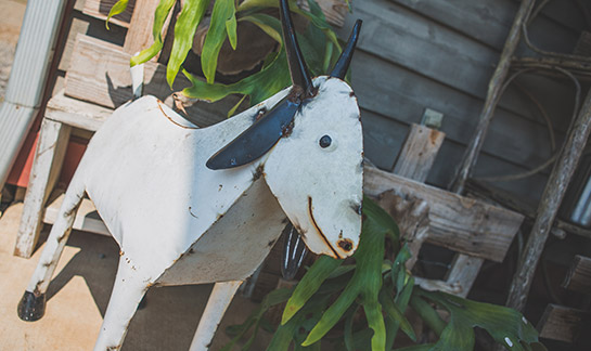 Job Opening at Crabtree Farms