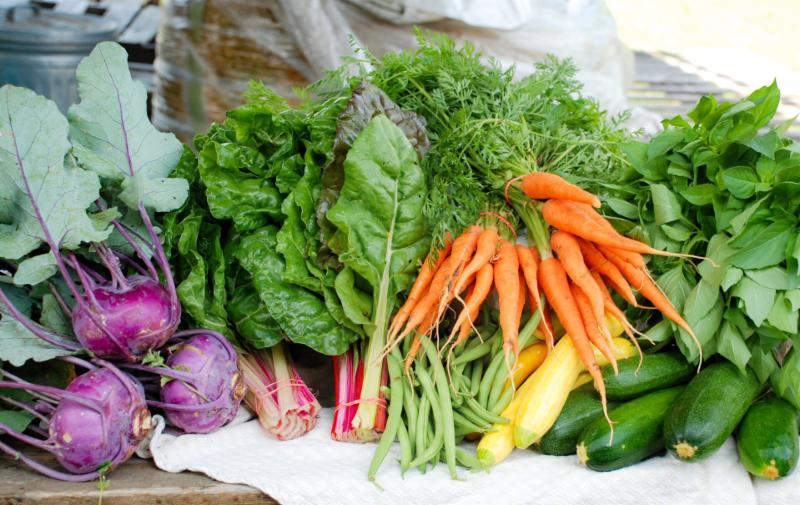 Enjoy the season’s bounty through Crabtree’s CSA