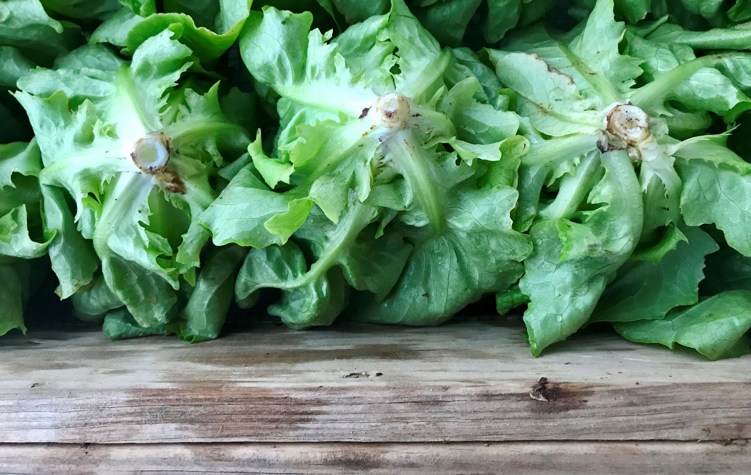 What Farmers Do In Winter – wk 1