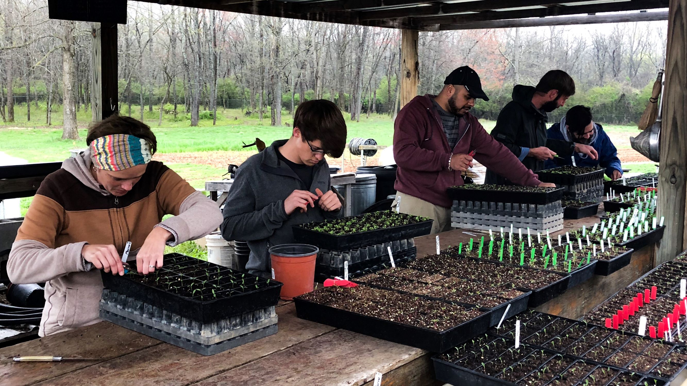 Though it is winter outside, it is spring in our greenhouses!