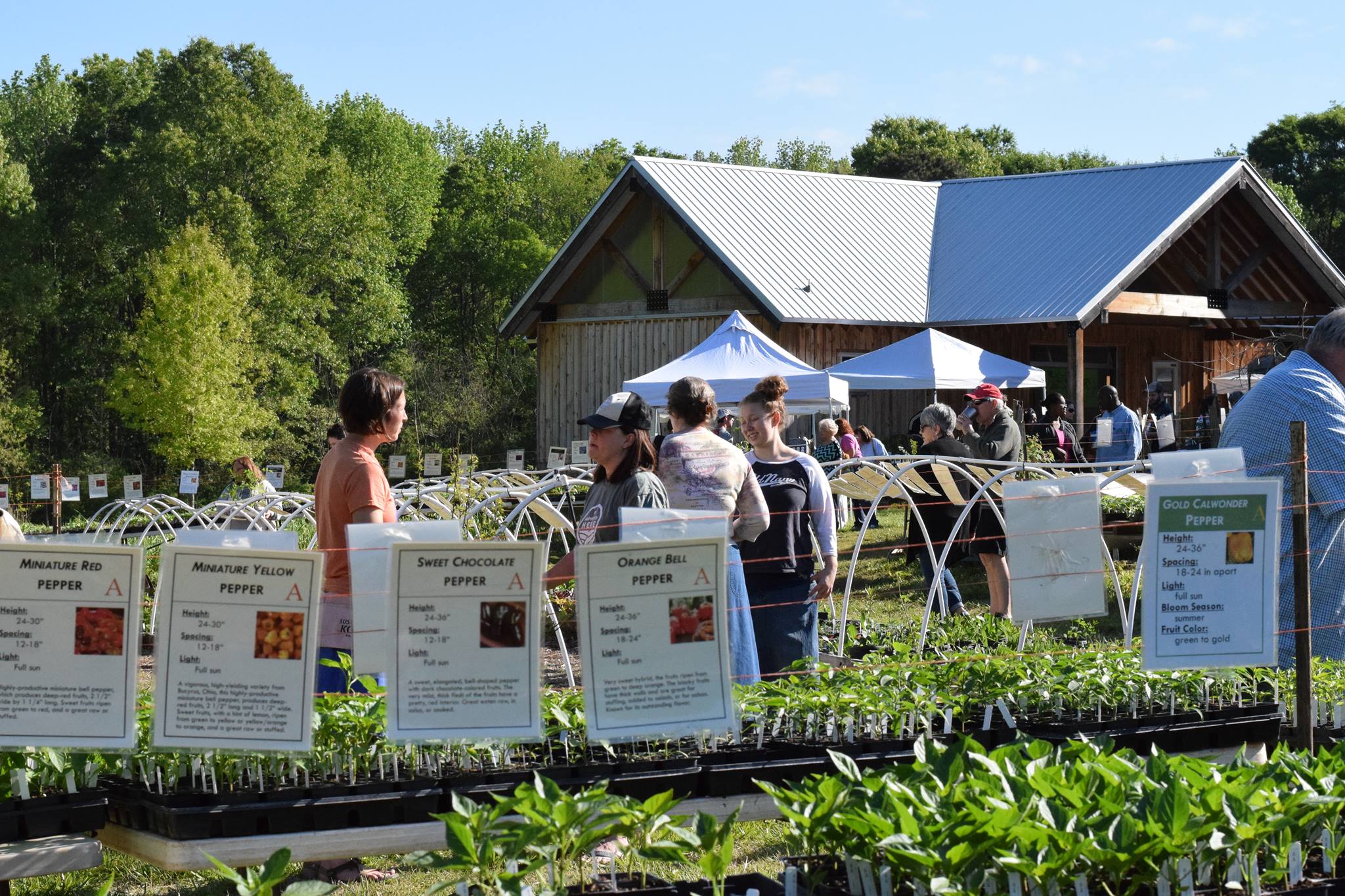 19th Annual Spring Plant Sale & Festival