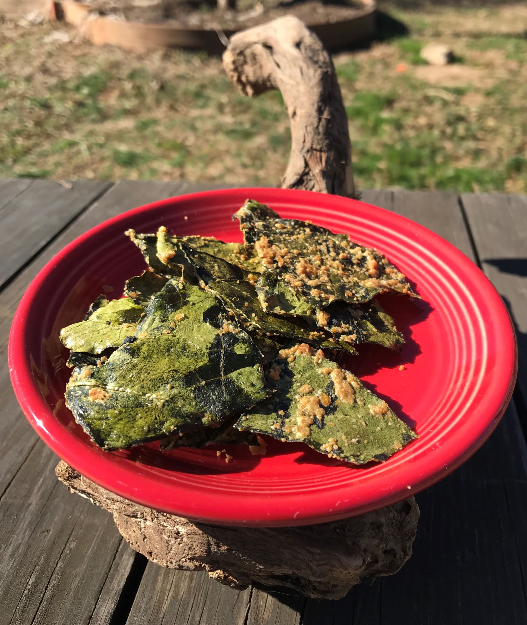 Vegan Collard Chips