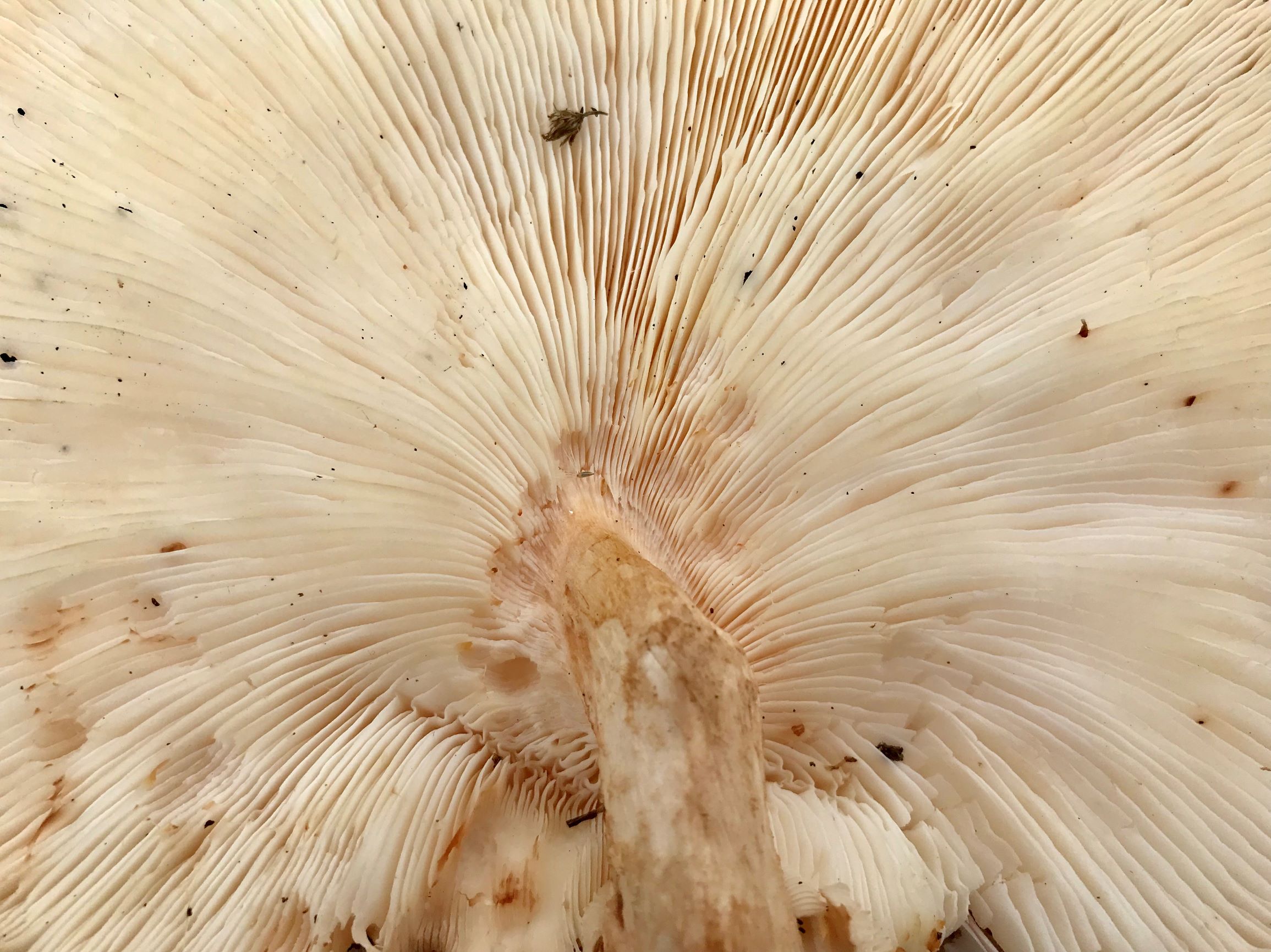 What Farmers Do in Winter – wk 2