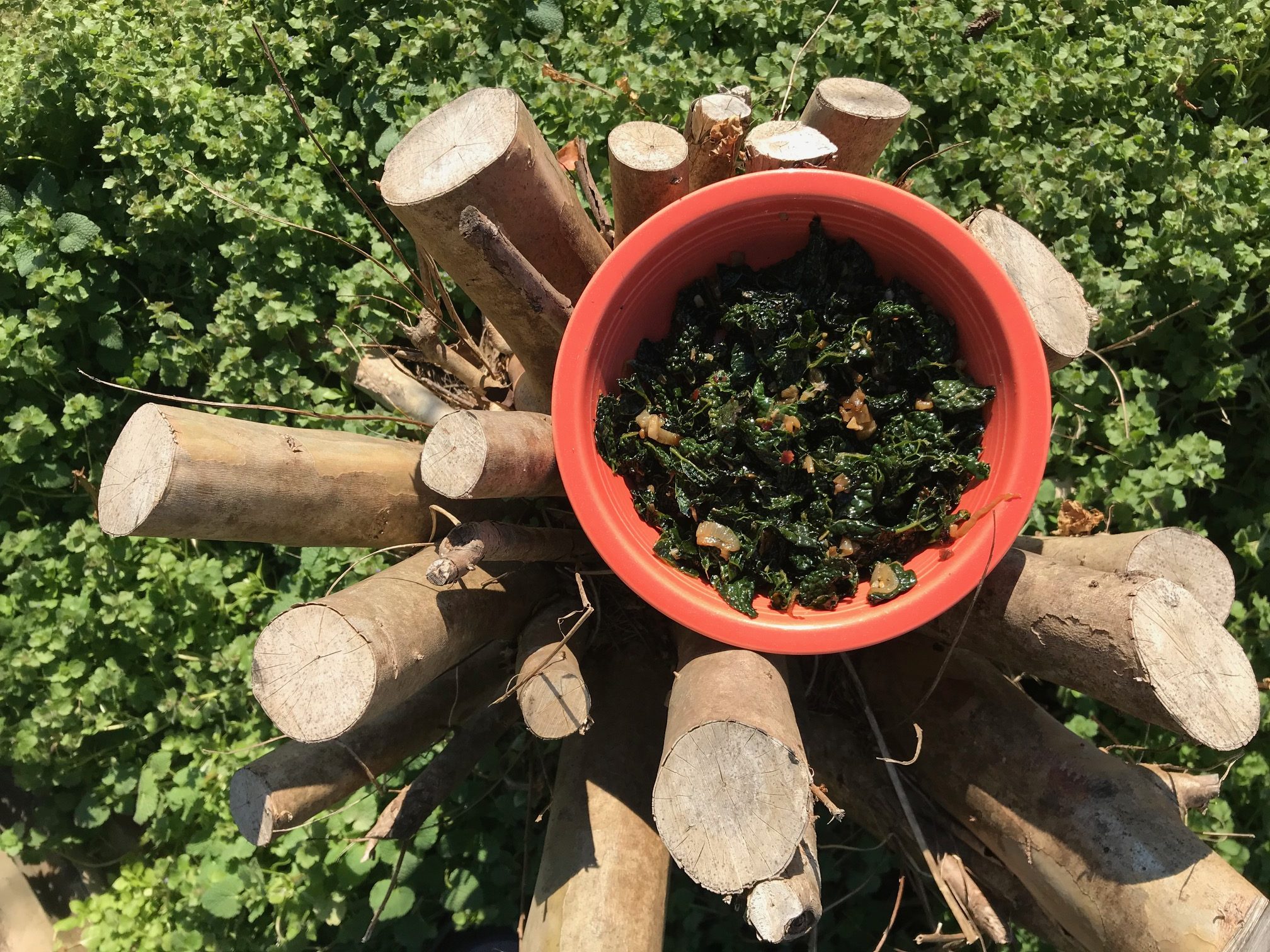 Garlicky Kale with Shallots