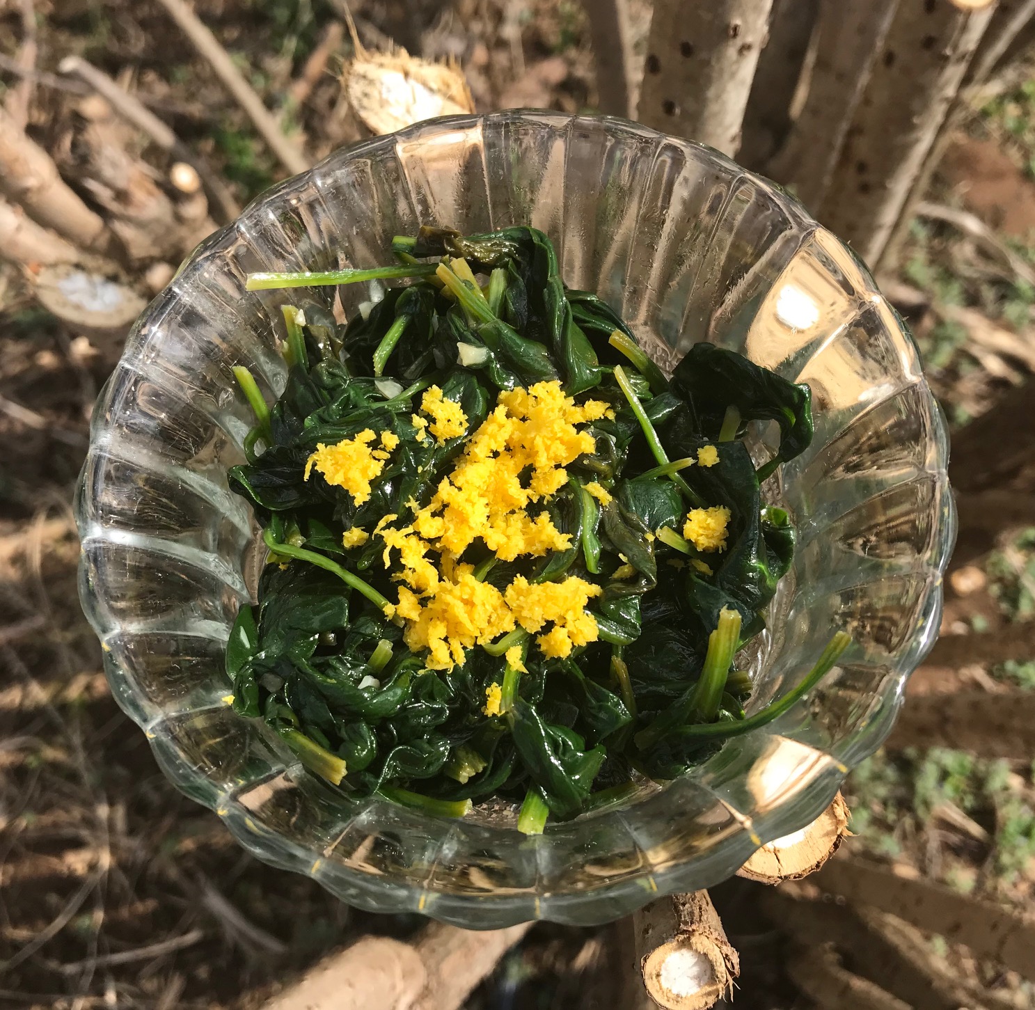 Lemon Garlic Spinach