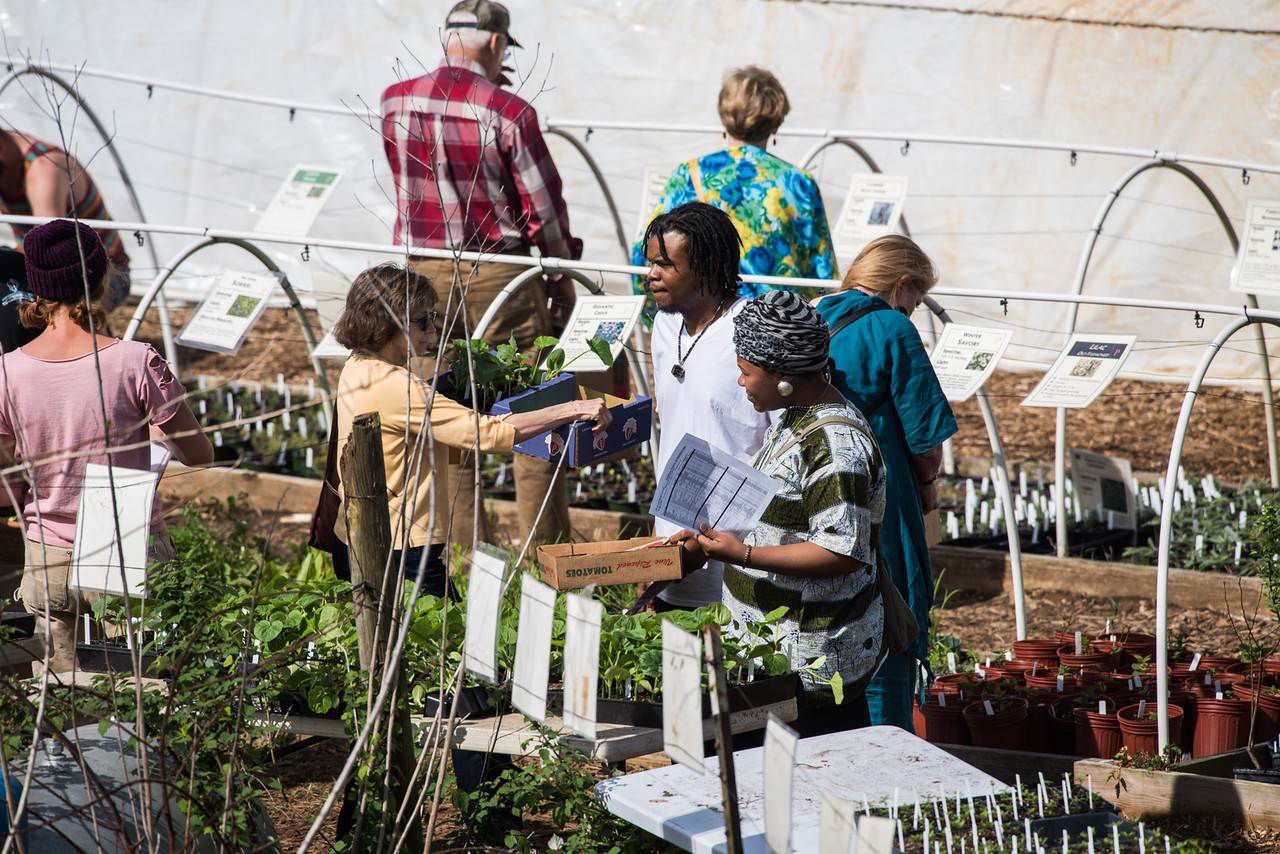 Part 4 of 4: ‘How To Plant Sale:’ Tips and Tricks from the Inside