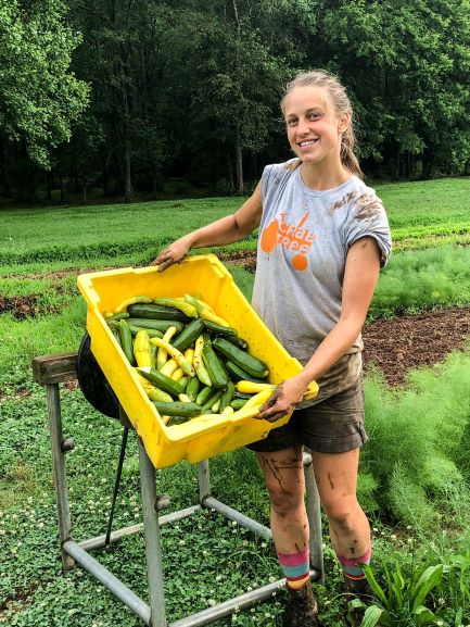 Be One of the Cool Kids, Shop Local