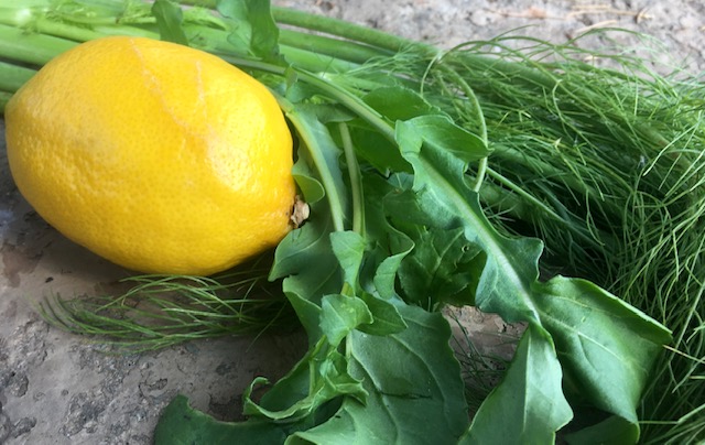Arugula & Fennel Salad with Lemon Dressing