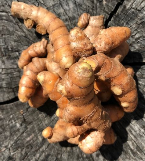 Mango Turmeric Smoothie