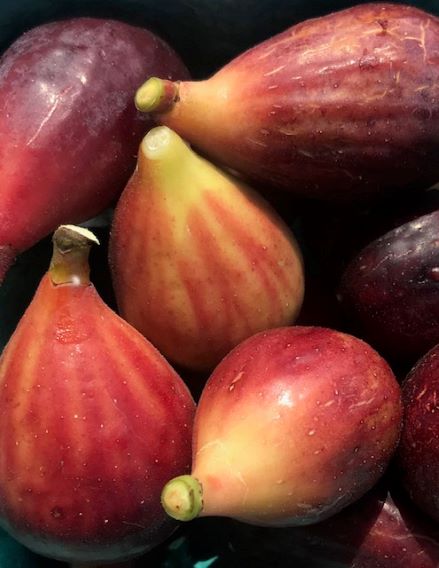 Fig & Greek Yogurt Smoothie