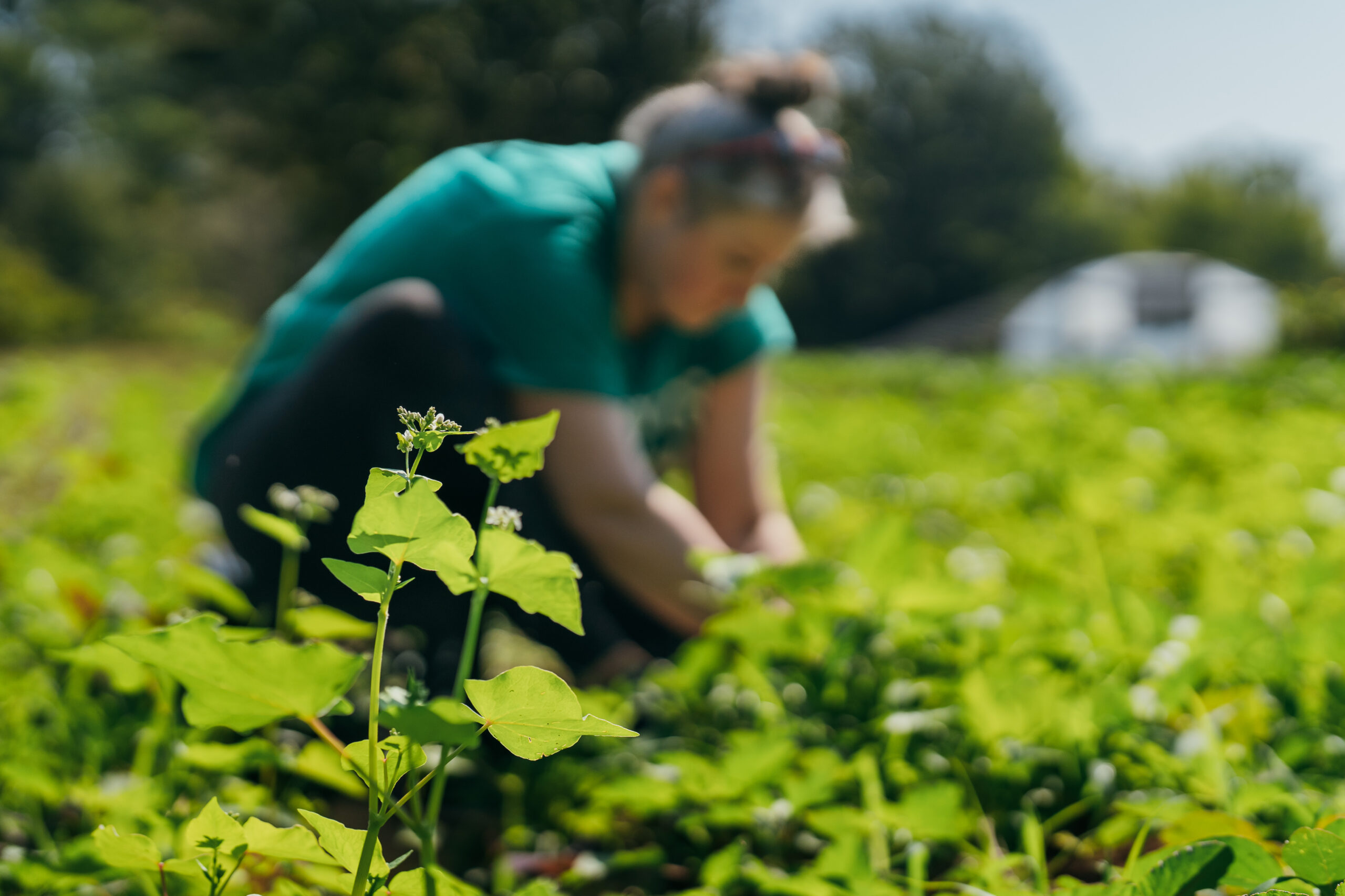 ellison-20230922-07671